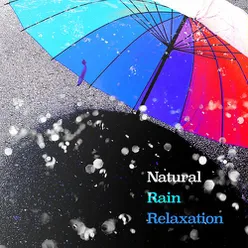 Natural Rain Relaxation