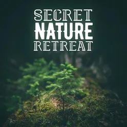 Secret Nature Retreat