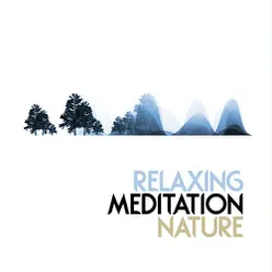 Relaxing Meditation: Nature