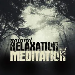 Natural Relaxation and Meditation