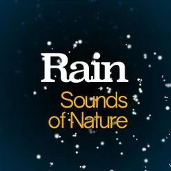 Rain: Sounds of Nature