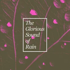 The Glorious Sound of Rain