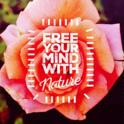 Free Your Mind with Nature