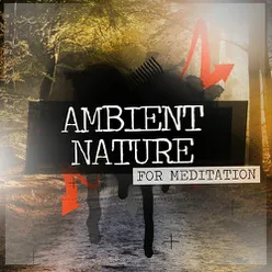 Ambient Nature for Meditation