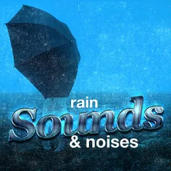 Rain Sounds & Noises