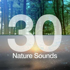 30 Nature Sounds