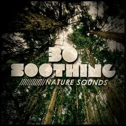 30 Soothing Nature Sounds