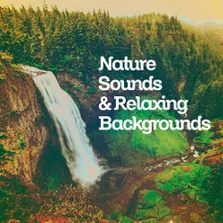 Nature Sounds & Relaxing Backgrounds