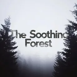 The Soothing Forest