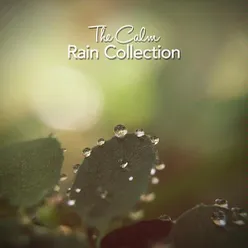 Relaxed Rain