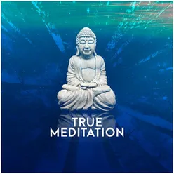 True Meditation