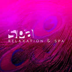 Spa, Relaxation & Spa