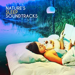 Nature's Sleep Soundtracks