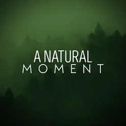 A Natural Moment