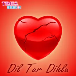 Dil Tur Dihlu