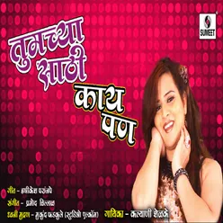 Tujhya Aaicha Navra DJ