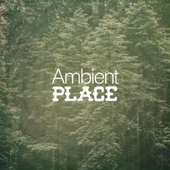 Ambient Place