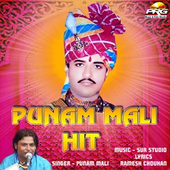 Punam Mali Hits