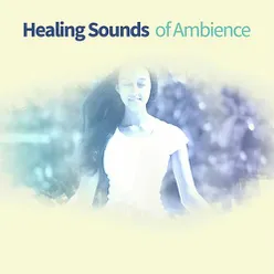 Healing Sounds of Ambience