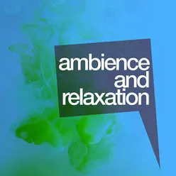Ambience and Relaxation