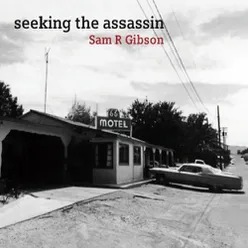 Seeking the Assassin (in the Streets of Santiago)