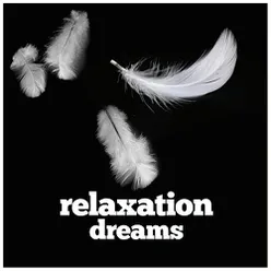 Relaxation Dreams