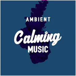 Ambient Calming Music