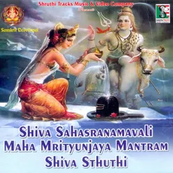 Namah Shivaya