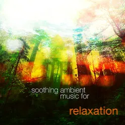 Soothing Ambient Music for Relaxation