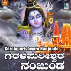 Nanjunagudina Shiva