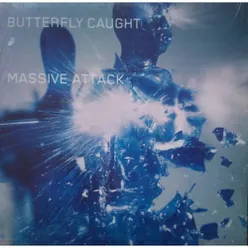 Butterfly Caught Jagz Kooner Remix