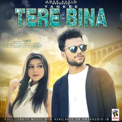 Tere Bina