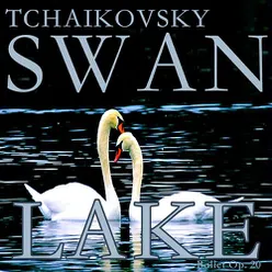 Swan Lake Ballet, Op. 20, Act 1: II. Pas D'action