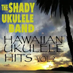 Hawaiian Ukulele Hits Vol.2
