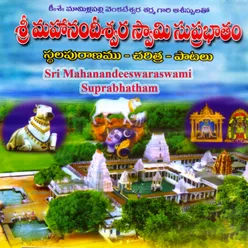 Nava Nandeeswara