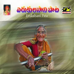 Erukalasani Pata