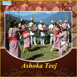 Ashoka Teej