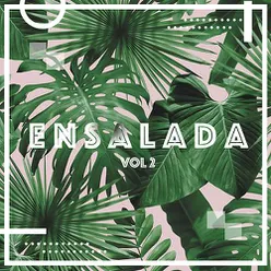 V.A. Ensalada, Vol. 2