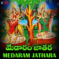 Medaram Jathara
