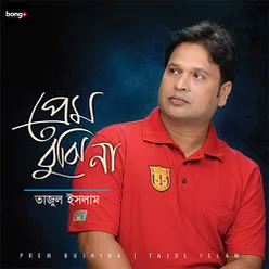 tumi amar neel akash