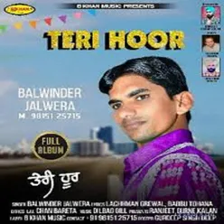 Teri Hoor