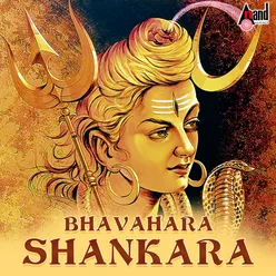 Sharanu Sharanu