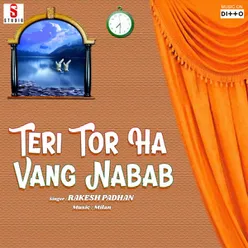 Teri Tor Ha Vang Nabab