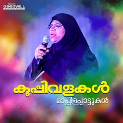 Maanathoonnum Potti