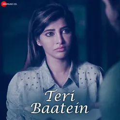 Teri Baatein