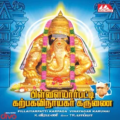 Yaanai Mugathukku