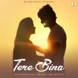 Tere Bina