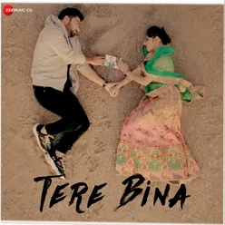 Tere Bina