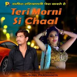 Teri Morni Si Chaal