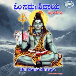 Om Namah Shivaya